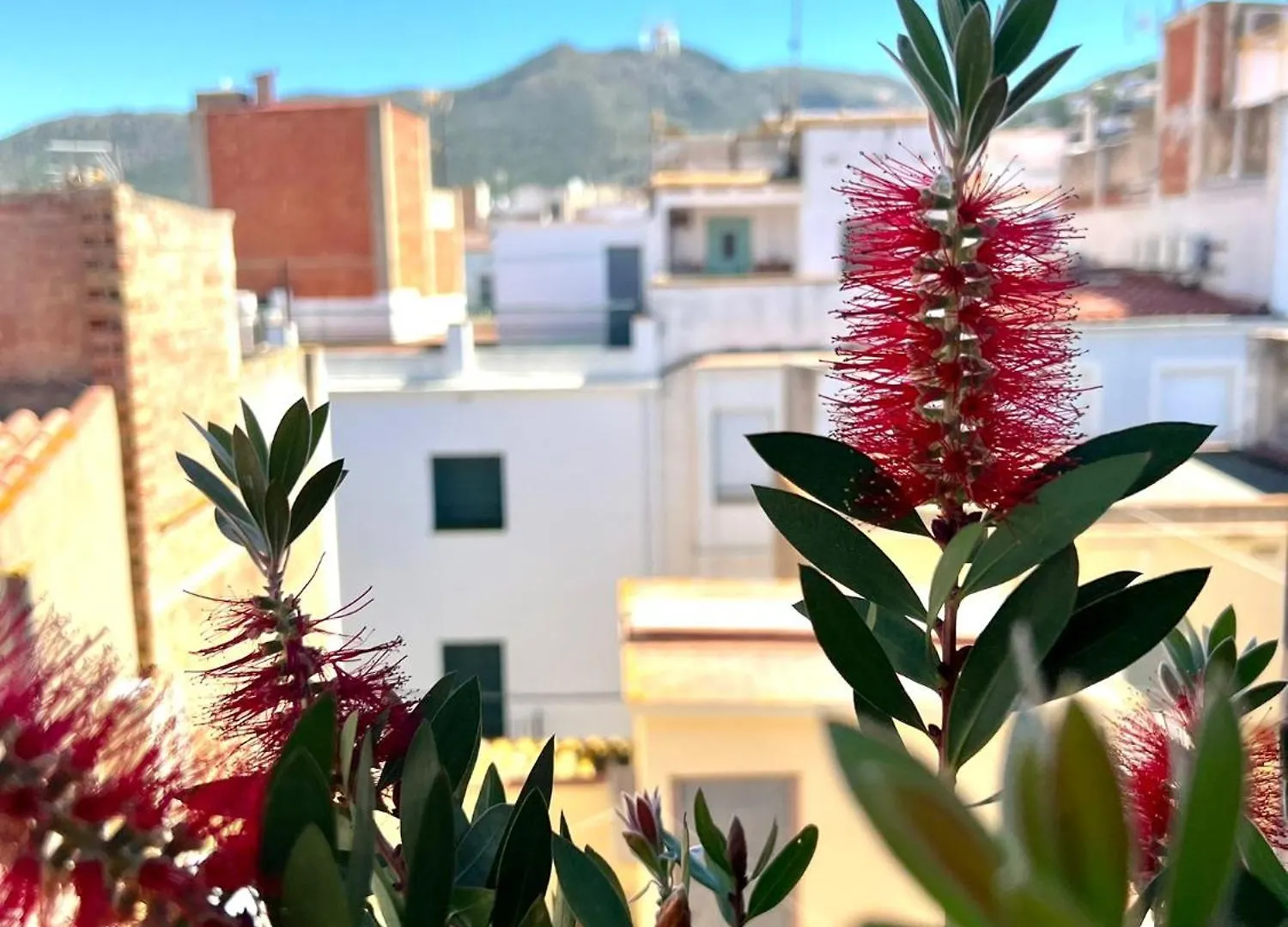 Pensjonat Escondite Central Con Terraza Compartida En La Azotea Roses